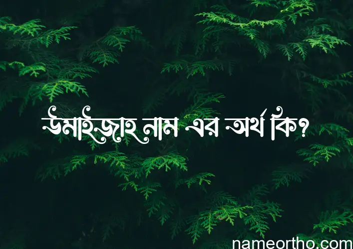 উমাইজাহ নামের অর্থ কি? (ব্যাখ্যা ও বিশ্লেষণ) জানুন