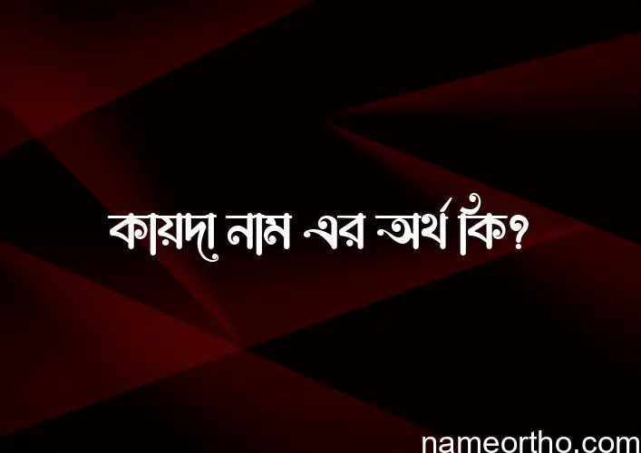 কায়দা নামের অর্থ কি, বাংলা ইসলামিক এবং আরবি অর্থ?