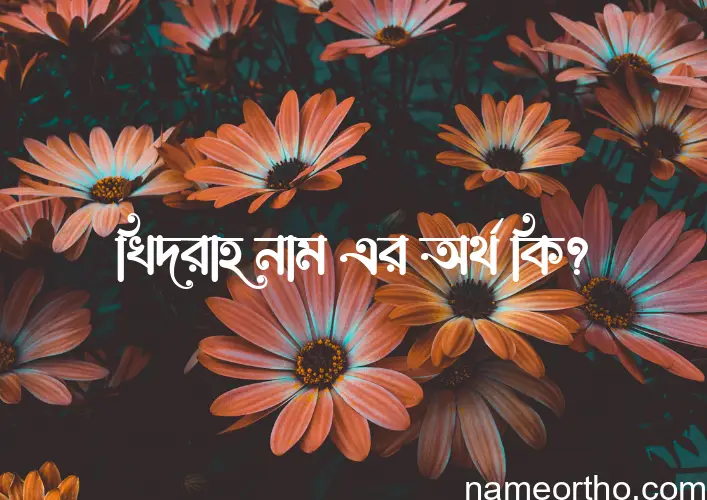 খিদরাহ নামের অর্থ কি? খিদরাহ নামের বাংলা, আরবি/ইসলামিক অর্থসমূহ