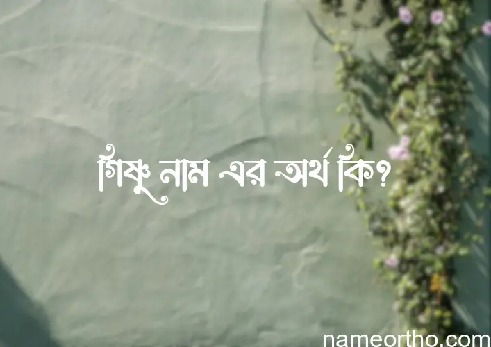 গিষ্ণু নামের অর্থ কি? গিষ্ণু নামের বাংলা, আরবি/ইসলামিক অর্থসমূহ