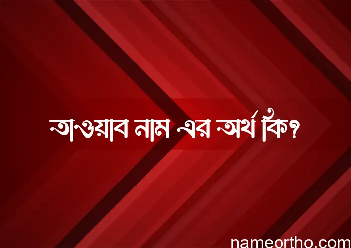 তাওয়াব নামের অর্থ কি? ইসলামিক আরবি বাংলা অর্থ