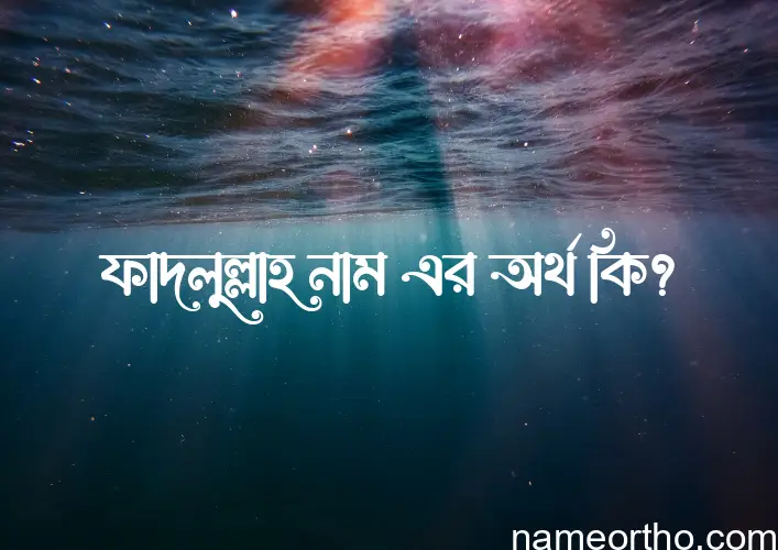 ফাদলুল্লাহ নামের অর্থ কি? ফাদলুল্লাহ নামের বাংলা, আরবি/ইসলামিক অর্থসমূহ