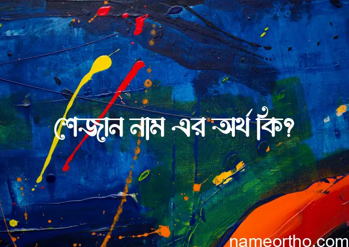 শেজান নামের অর্থ কি এবং ইসলাম কি বলে? (বিস্তারিত)